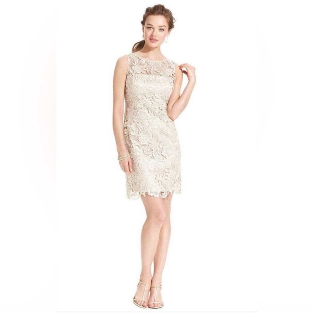 Perfect Adrianna Papell Illusion Lace Sheath Dress Champagne 4